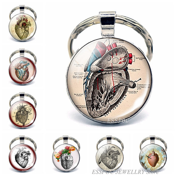 Anatomical Heart Key Chain Silver Key Chain Glass Metal Keychain Keyring Heartbeat Sign Pendant Biologist Doctors Gifts