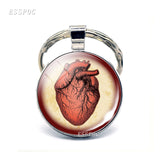Anatomical Heart Key Chain Silver Key Chain Glass Metal Keychain Keyring Heartbeat Sign Pendant Biologist Doctors Gifts