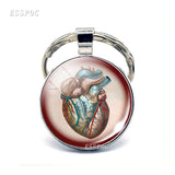 Anatomical Heart Key Chain Silver Key Chain Glass Metal Keychain Keyring Heartbeat Sign Pendant Biologist Doctors Gifts