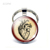 Anatomical Heart Key Chain Silver Key Chain Glass Metal Keychain Keyring Heartbeat Sign Pendant Biologist Doctors Gifts