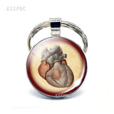 Anatomical Heart Key Chain Silver Key Chain Glass Metal Keychain Keyring Heartbeat Sign Pendant Biologist Doctors Gifts