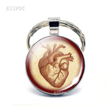 Anatomical Heart Key Chain Silver Key Chain Glass Metal Keychain Keyring Heartbeat Sign Pendant Biologist Doctors Gifts