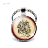 Anatomical Heart Key Chain Silver Key Chain Glass Metal Keychain Keyring Heartbeat Sign Pendant Biologist Doctors Gifts