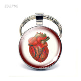 Anatomical Heart Key Chain Silver Key Chain Glass Metal Keychain Keyring Heartbeat Sign Pendant Biologist Doctors Gifts