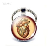 Anatomical Heart Key Chain Silver Key Chain Glass Metal Keychain Keyring Heartbeat Sign Pendant Biologist Doctors Gifts