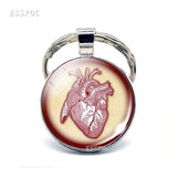 Anatomical Heart Key Chain Silver Key Chain Glass Metal Keychain Keyring Heartbeat Sign Pendant Biologist Doctors Gifts
