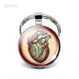 Anatomical Heart Key Chain Silver Key Chain Glass Metal Keychain Keyring Heartbeat Sign Pendant Biologist Doctors Gifts