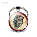 Anatomical Heart Key Chain Silver Key Chain Glass Metal Keychain Keyring Heartbeat Sign Pendant Biologist Doctors Gifts